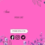sans puns list