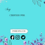 Sexy Christmas Puns